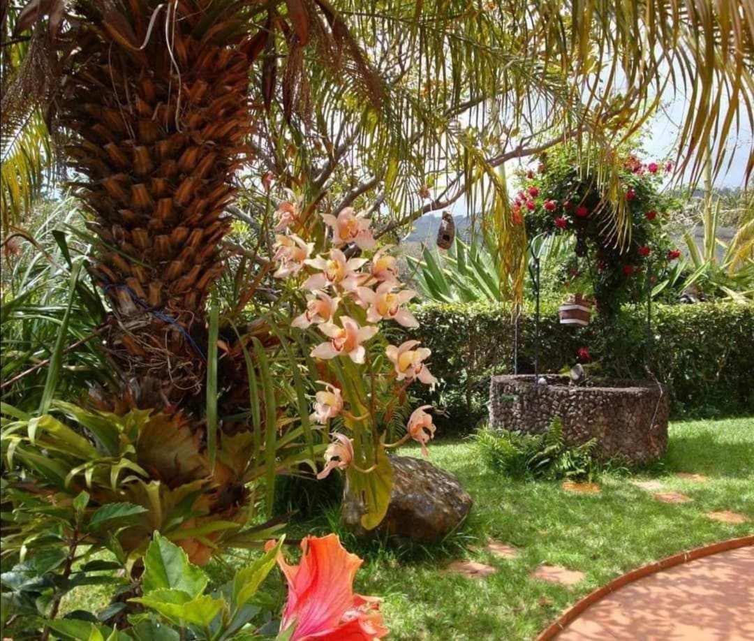 Gama Rodeados De Natureza Apartamento *