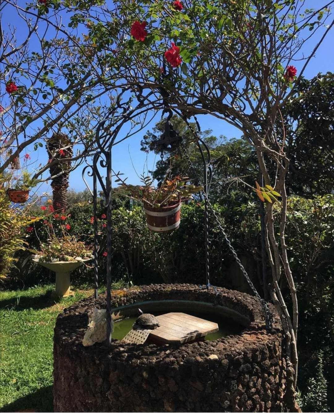 Gama Rodeados De Natureza Apartamento Machico (Madeira)